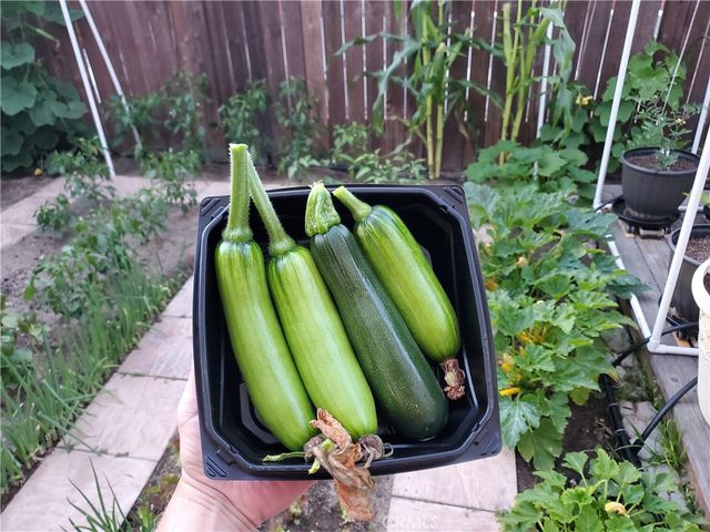 1309 Hunt Terrace, Harbor City, CA 90710