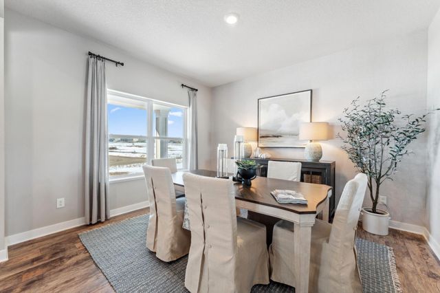 10561 Bent Pine Lane, Woodbury, MN 55129