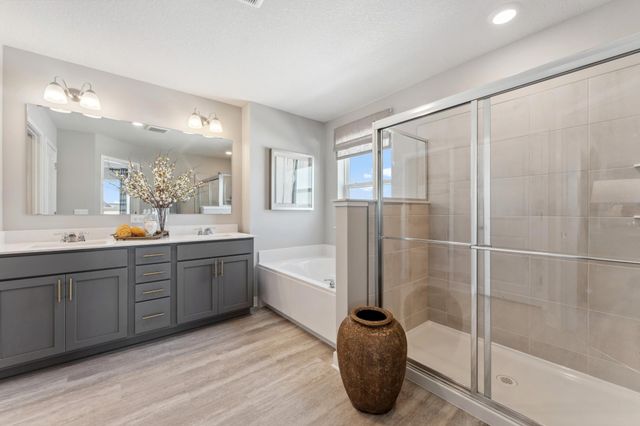 10561 Bent Pine Lane, Woodbury, MN 55129