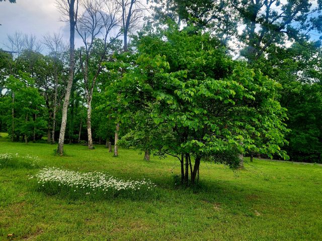 27345 Farm Road 1250, Golden, MO 65658