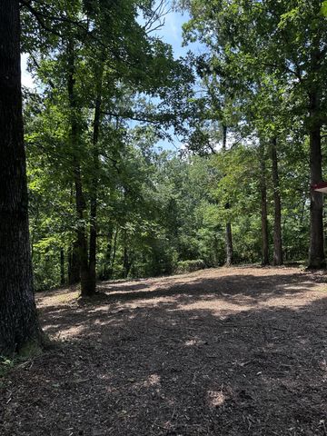 112 Bavaria Rd, Hohenwald, TN 38462