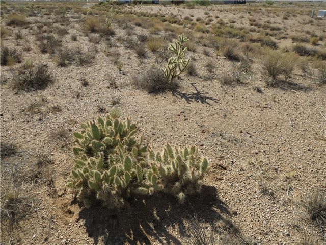 7369 N Skull Avenue, Kingman, AZ 86401