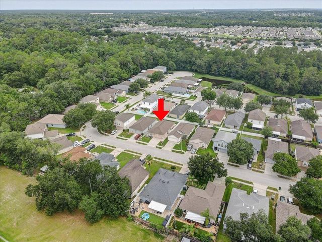 30257 BIRDHOUSE DRIVE, Wesley Chapel, FL 33545