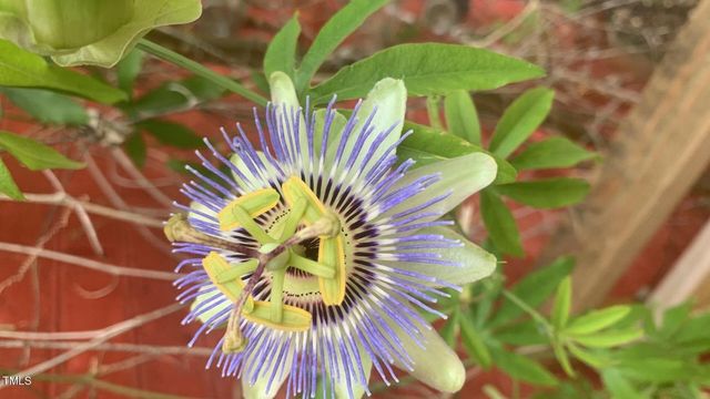 500 N Gulf Street, Sanford, NC 27330