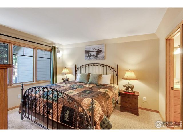 650 Park River Pl, Estes Park, CO 80517