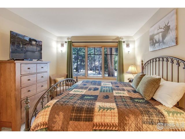 650 Park River Pl, Estes Park, CO 80517