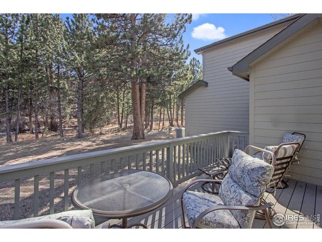 650 Park River Pl, Estes Park, CO 80517