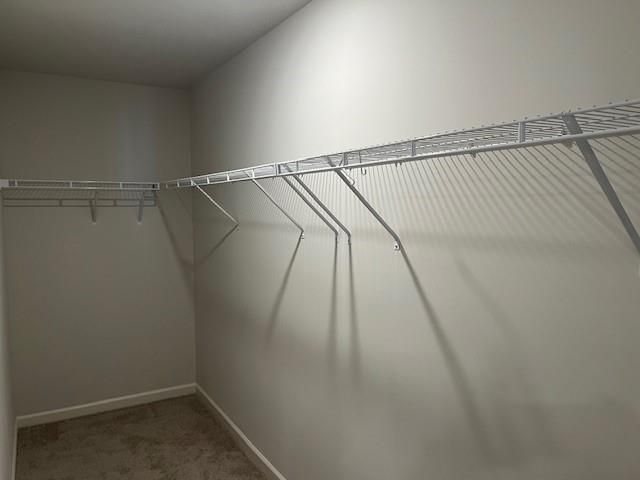 2213 Blue Monarch Drive, Buford, GA 30519