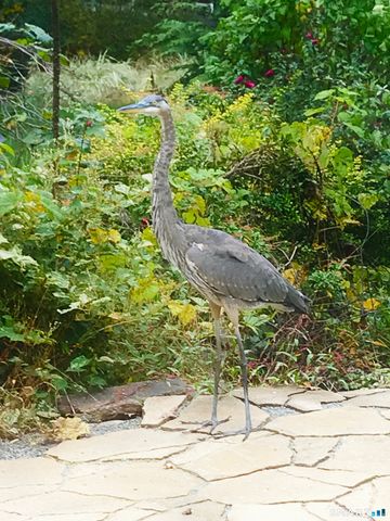 227 Dublin Hill Road, Southbury, CT 06488