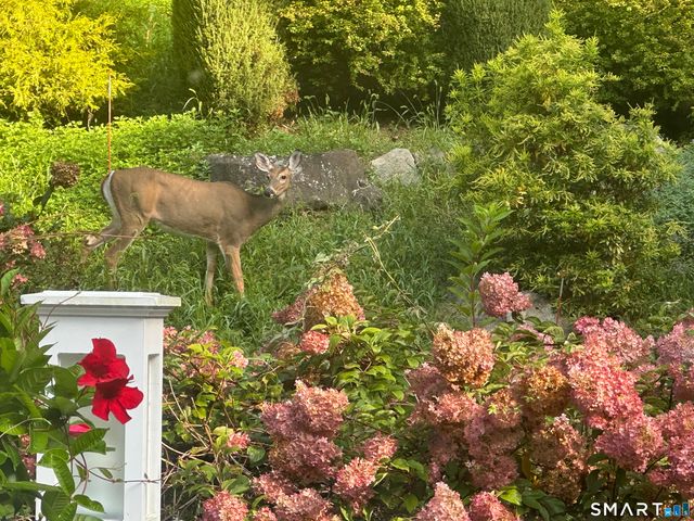 227 Dublin Hill Road, Southbury, CT 06488