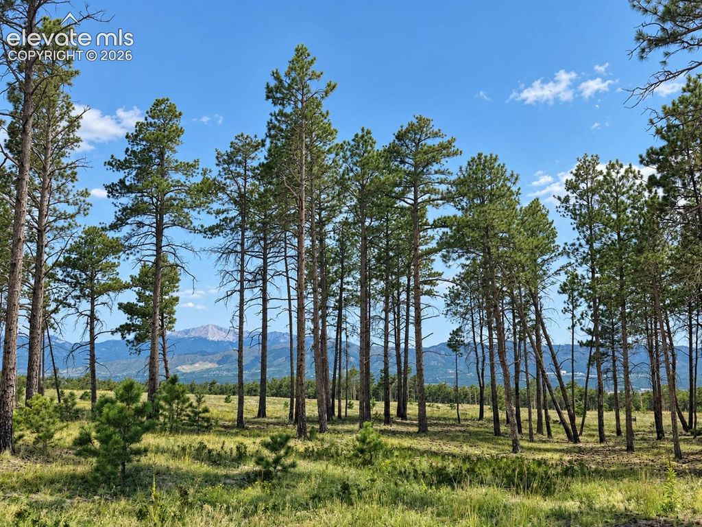 13525 Sterling Spires Heights, Colorado Springs, CO 80908 — exterior