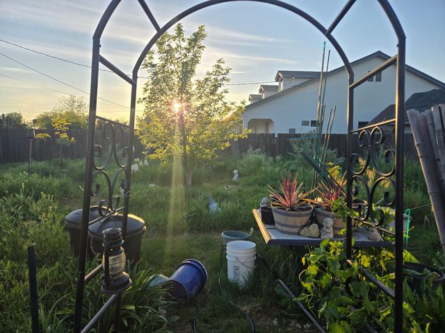 4694 Pacific Ave, Olivehurst, CA 95961