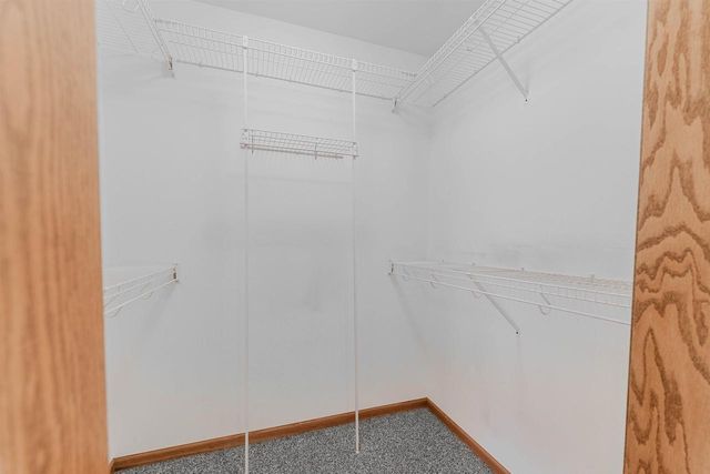 3120 MOCKINGBIRD WAY, Oshkosh, WI 54904