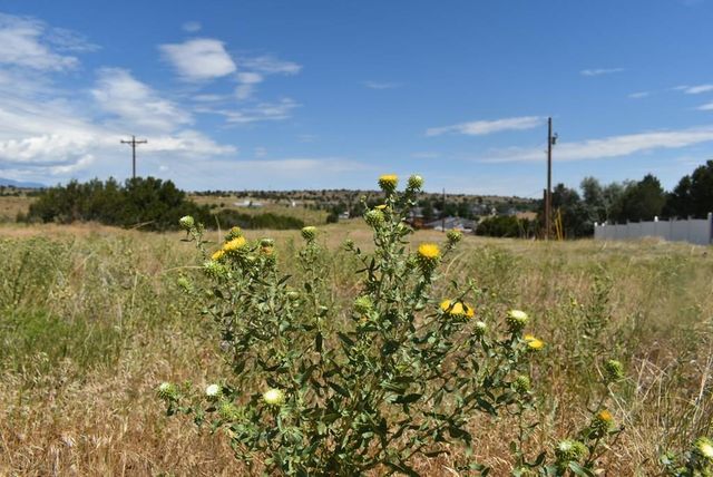 000 W 2nd St, Walsenburg, CO 81089