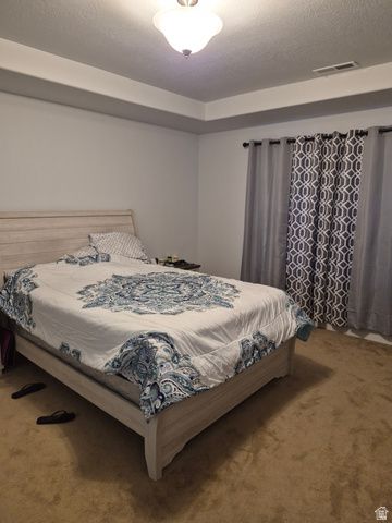 12346 S PESKY LN, Herriman, UT 84096