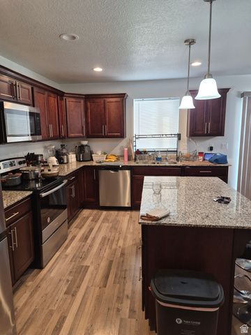 12346 S PESKY LN, Herriman, UT 84096