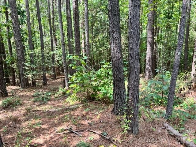 100 Shortoff Trail NW 156, Valdese, NC 28690