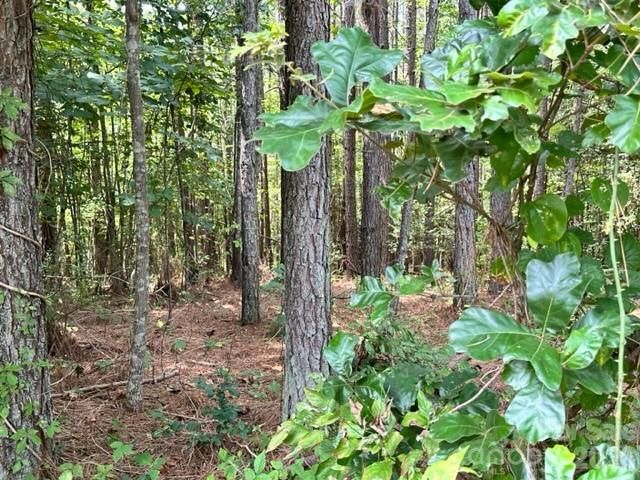 100 Shortoff Trail NW 156, Valdese, NC 28690