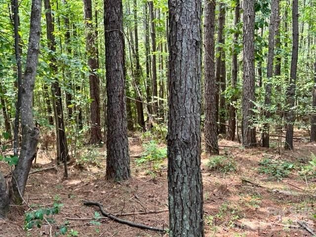 100 Shortoff Trail NW 156, Valdese, NC 28690