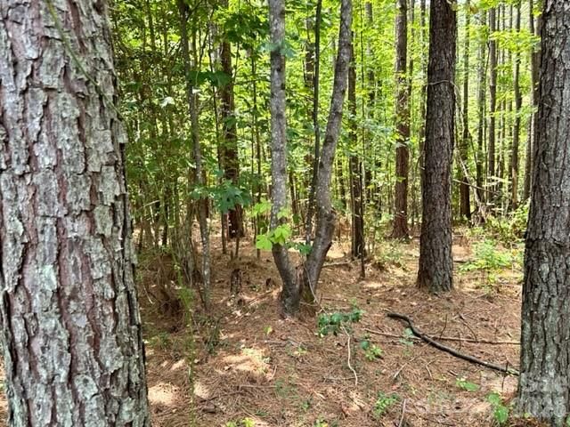 100 Shortoff Trail NW 156, Valdese, NC 28690