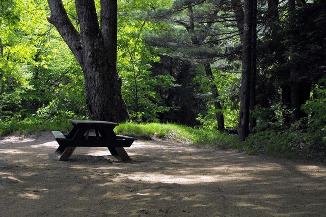 330 Newman Drew Road, Ossipee, NH 03890