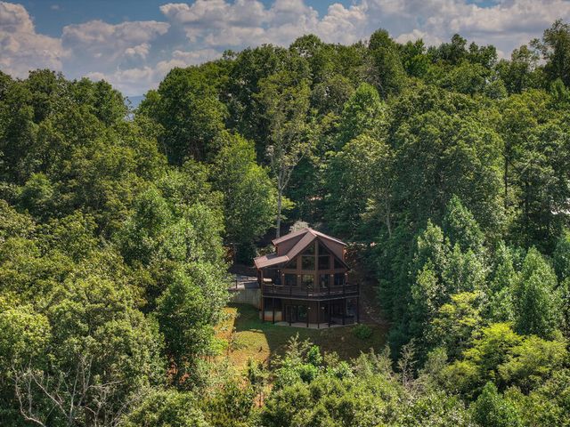 8 North Face Drive, Blue Ridge, GA 30513