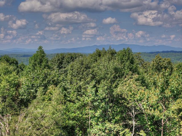 8 North Face Drive, Blue Ridge, GA 30513