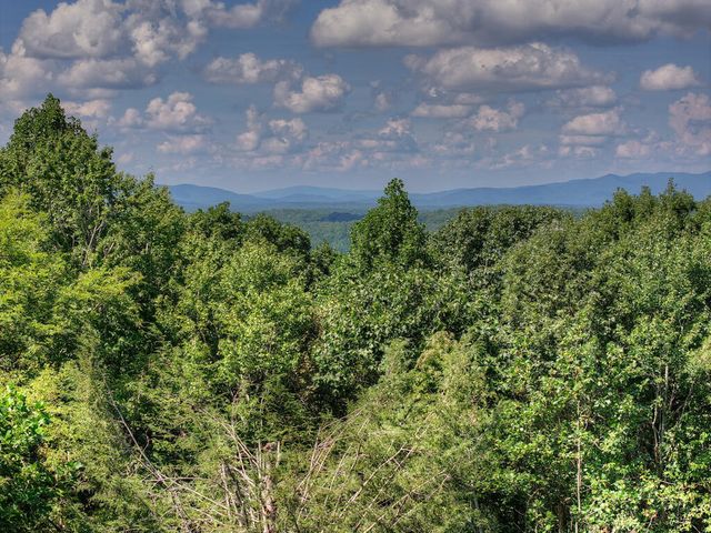 8 North Face Drive, Blue Ridge, GA 30513