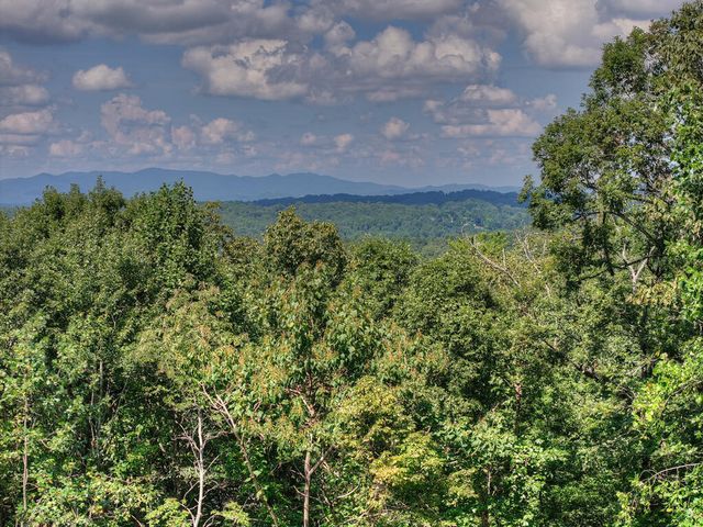 8 North Face Drive, Blue Ridge, GA 30513