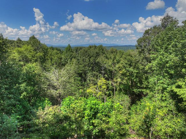 8 North Face Drive, Blue Ridge, GA 30513