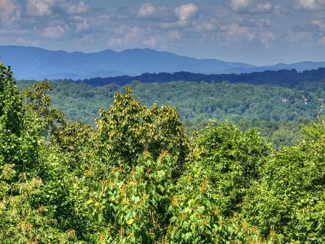 8 North Face Drive, Blue Ridge, GA 30513