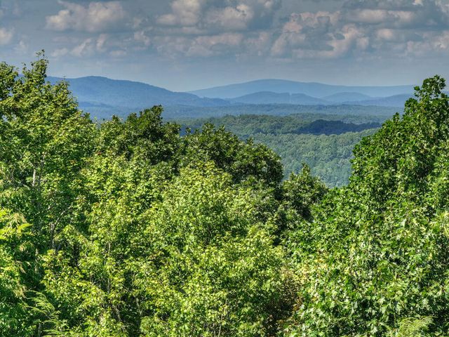 8 North Face Drive, Blue Ridge, GA 30513