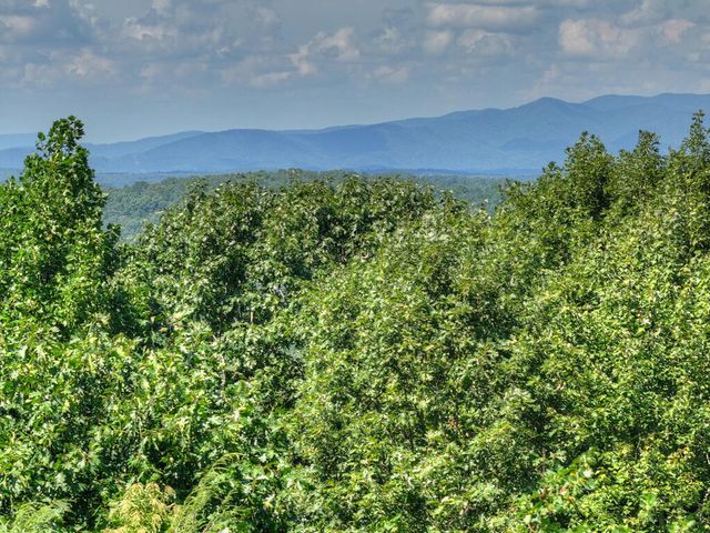 8 North Face Drive, Blue Ridge, GA 30513