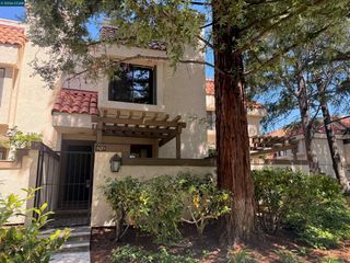 503 Pimlico court, Walnut Creek, CA 94596