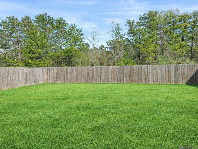 8431 Rosemary Ave, Denham Springs, LA 70726