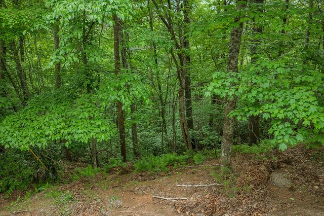 Lot 171 Shenendoa Drive, Ellijay, GA 30540