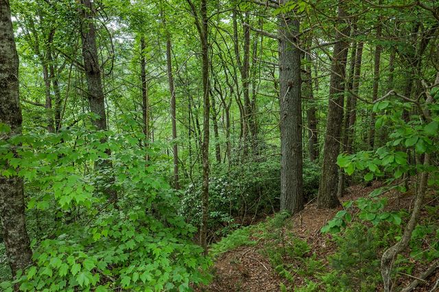 Lot 171 Shenendoa Drive, Ellijay, GA 30540