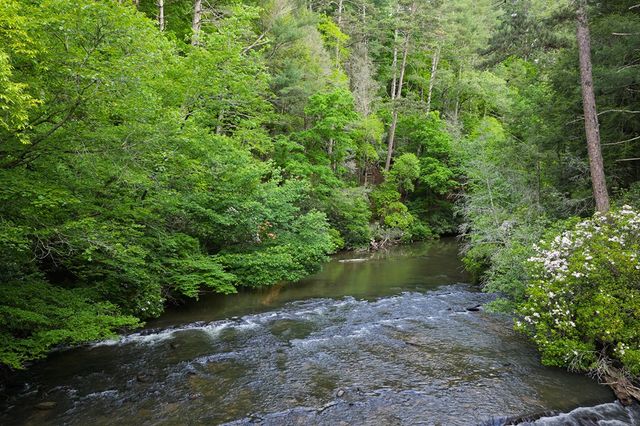Lot 171 Shenendoa Drive, Ellijay, GA 30540