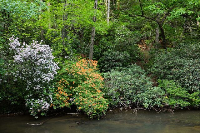 Lot 171 Shenendoa Drive, Ellijay, GA 30540