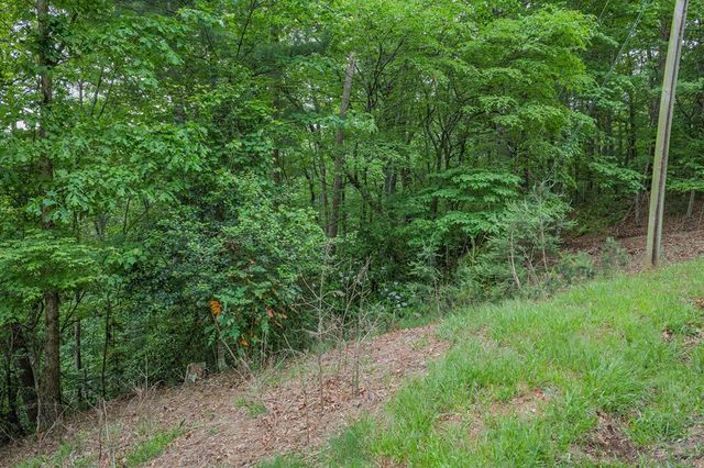 Lot 171 Shenendoa Drive, Ellijay, GA 30540