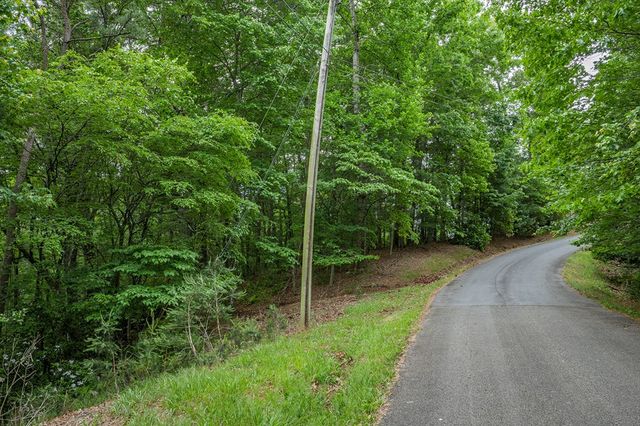Lot 171 Shenendoa Drive, Ellijay, GA 30540