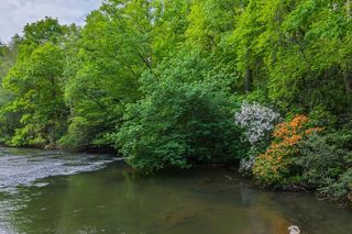 Lot 171 Shenendoa Drive, Ellijay, GA 30540