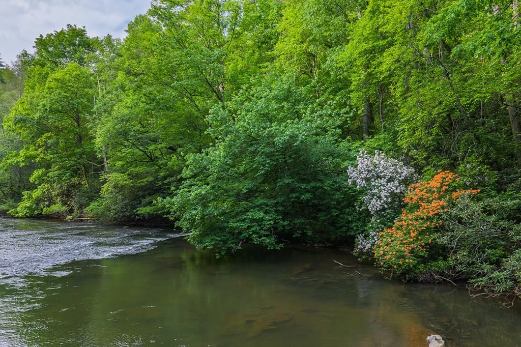 Lot 171 Shenendoa Drive, Ellijay, GA 30540