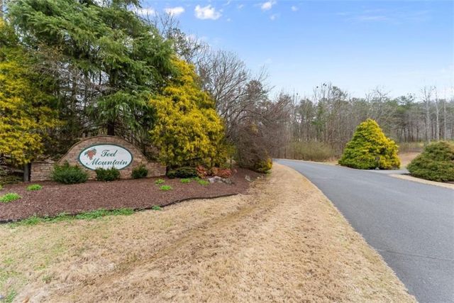 24 Teel Mountain Drive, Cleveland, GA 30528