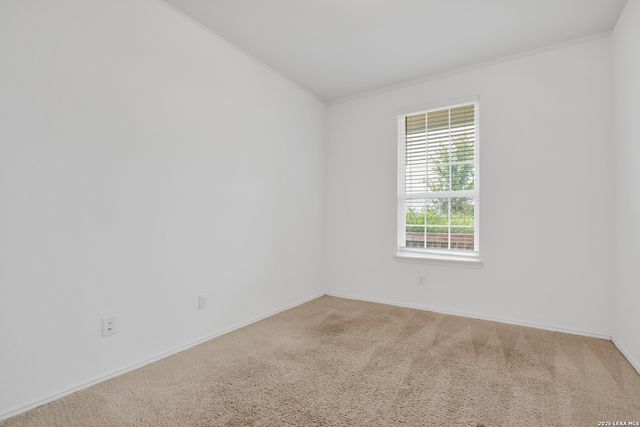 10310 Lady Bird, San Antonio, TX 78252