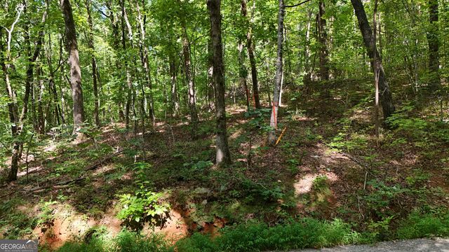 LOT 182 Hillside Drive, Clarkesville, GA 30523