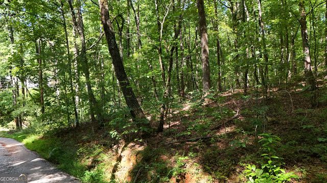 LOT 182 Hillside Drive, Clarkesville, GA 30523
