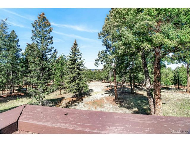 55 Ponderosa Ln, Woodland Park, CO 80863
