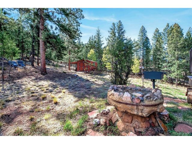 55 Ponderosa Ln, Woodland Park, CO 80863