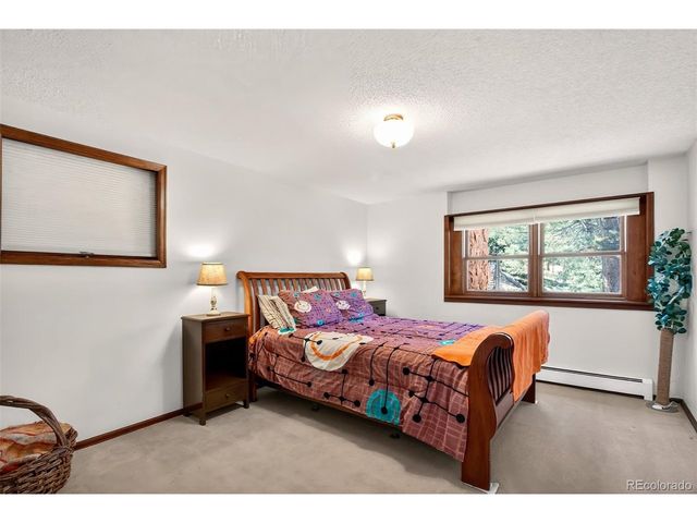 55 Ponderosa Ln, Woodland Park, CO 80863